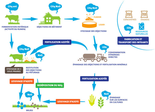 Emissions en élevage